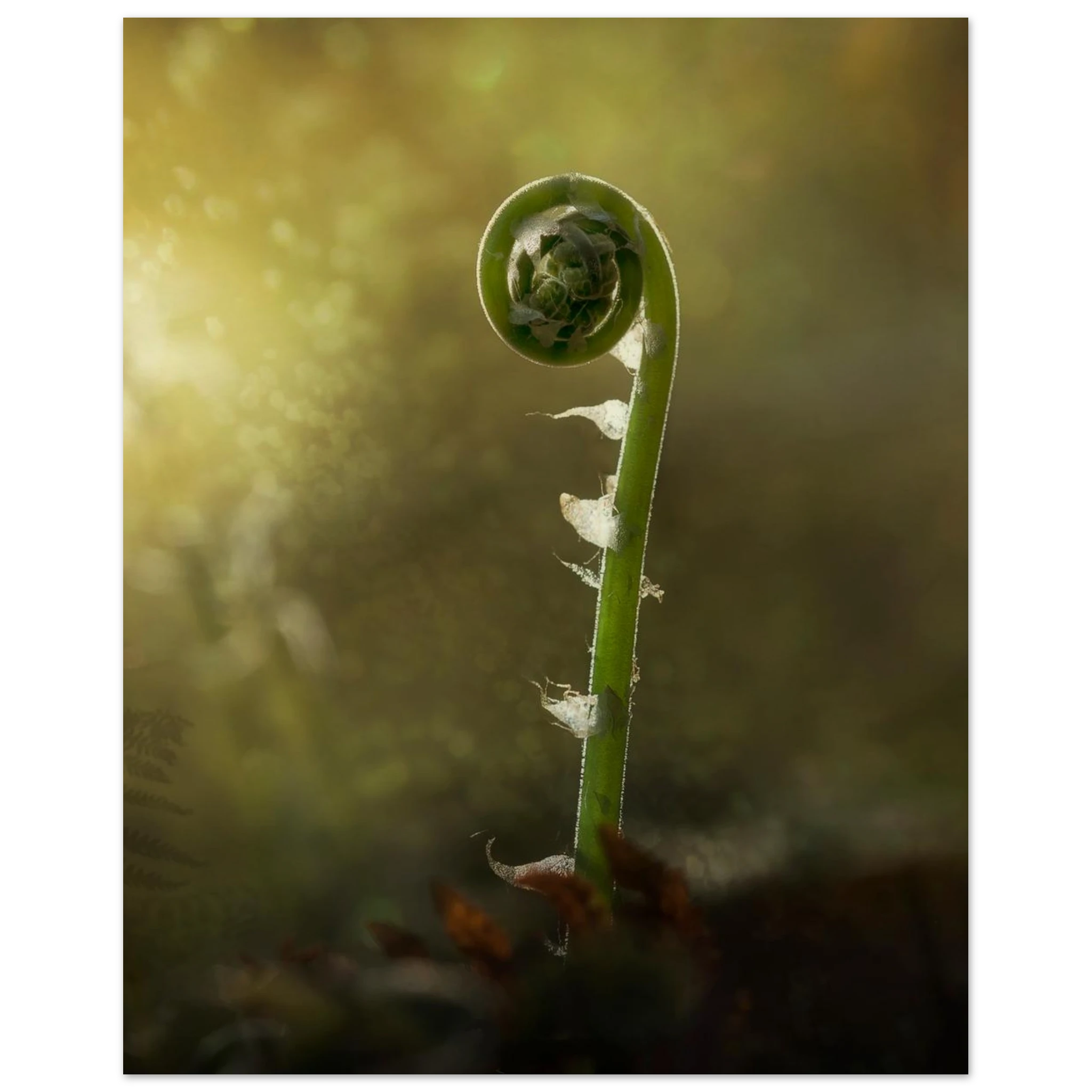 9ce27b49-075e-40b5-a78a-c0bb0f117fd2
