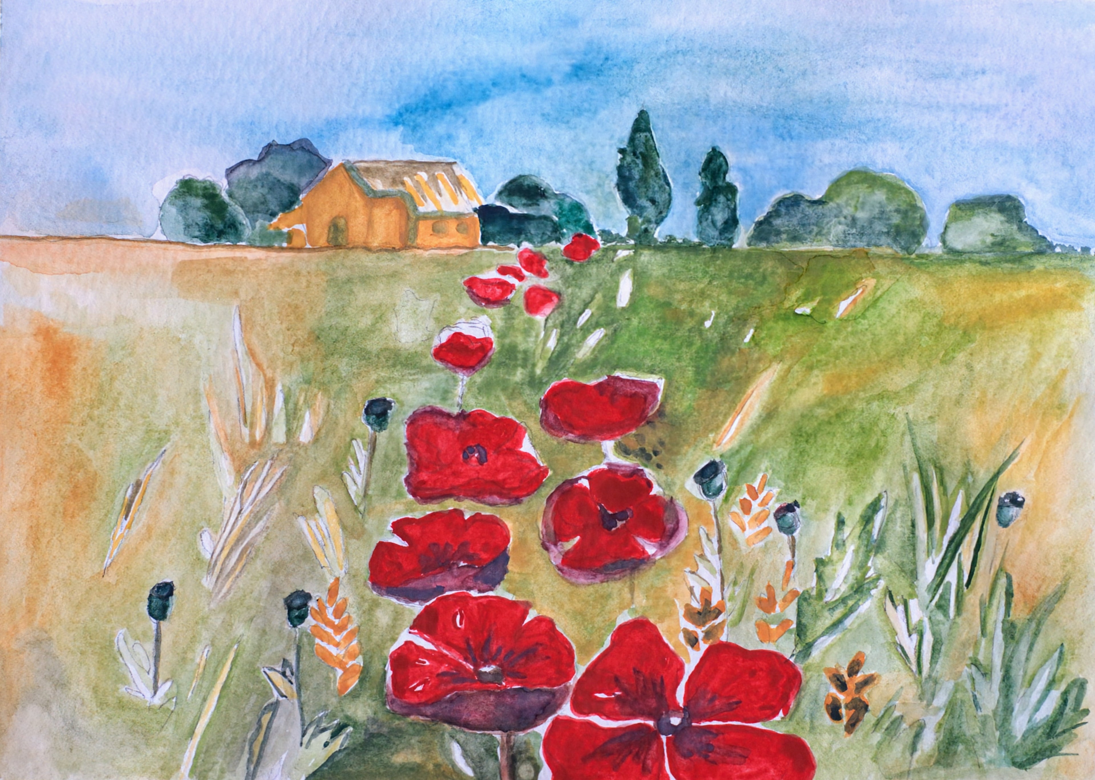 Mohn