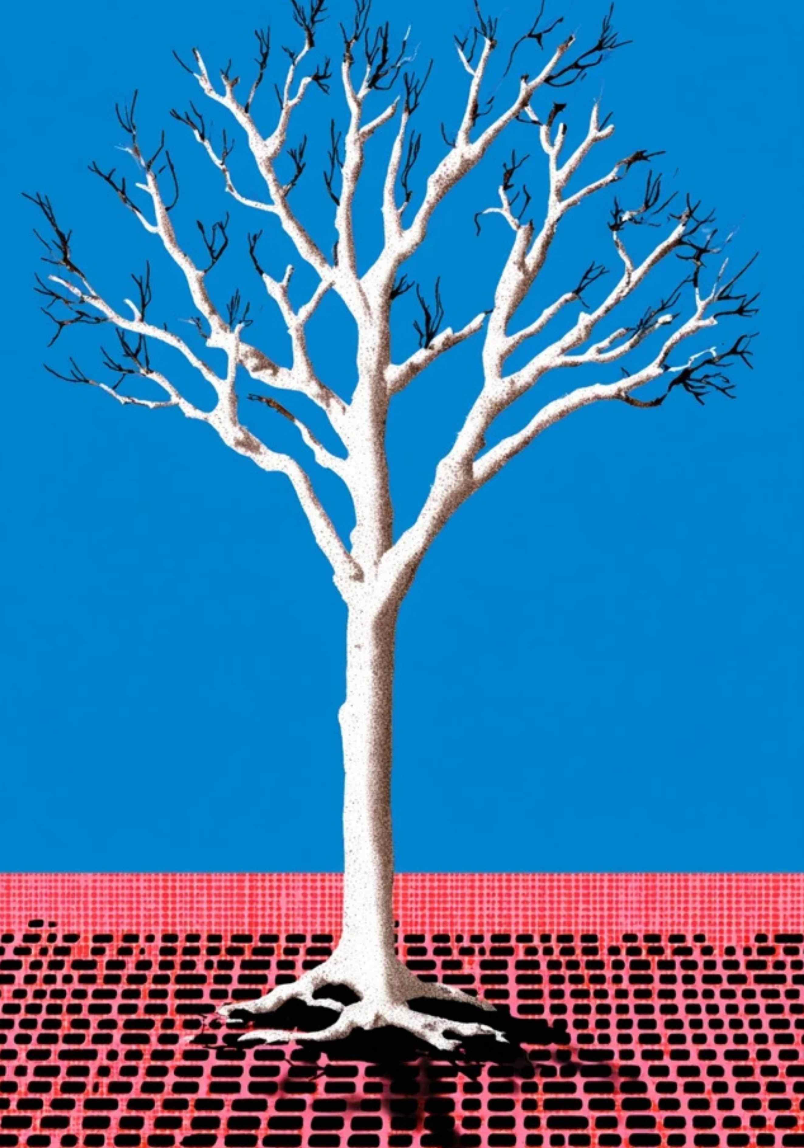 PIXEL POP – Bold Prints Collection