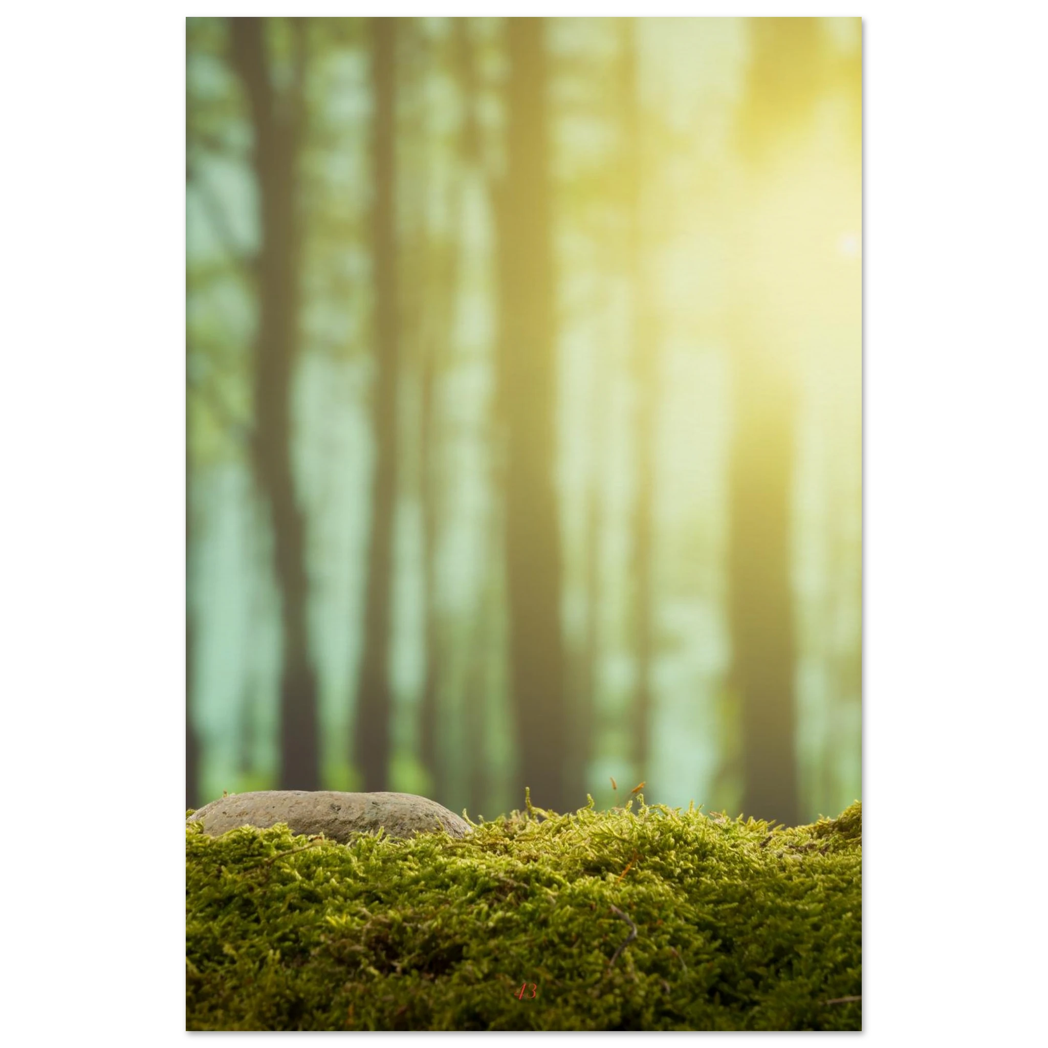 a7e3d833-47b8-4778-9461-c9759f0cc549