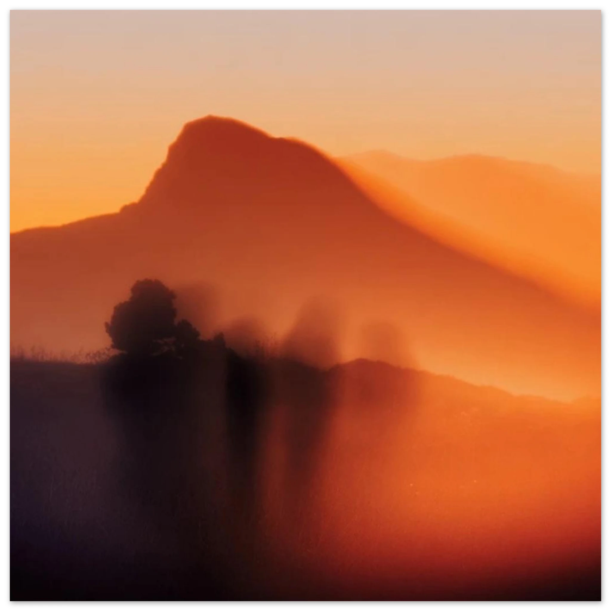 b44d270d-705e-4712-be28-e318dd0a0065