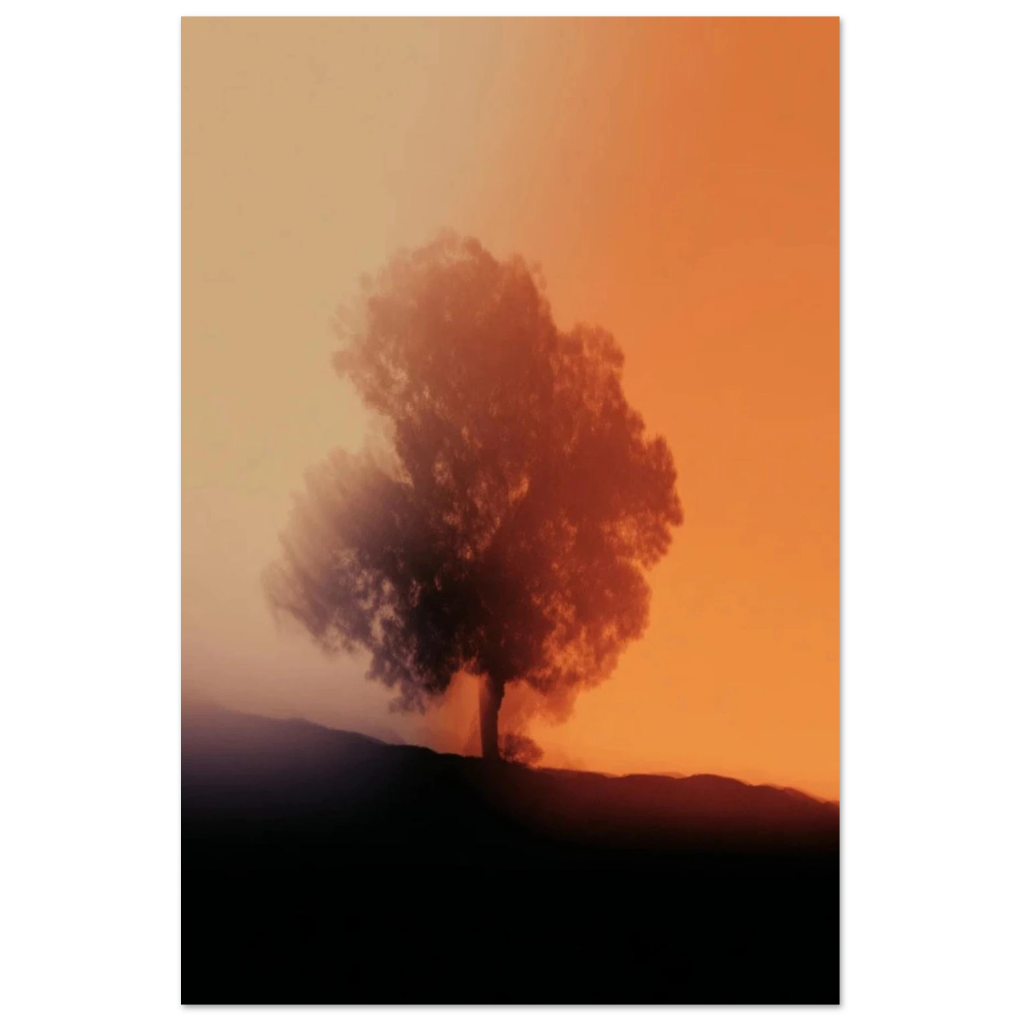 d79a2ad1-7f68-46b7-90de-629552f1586c