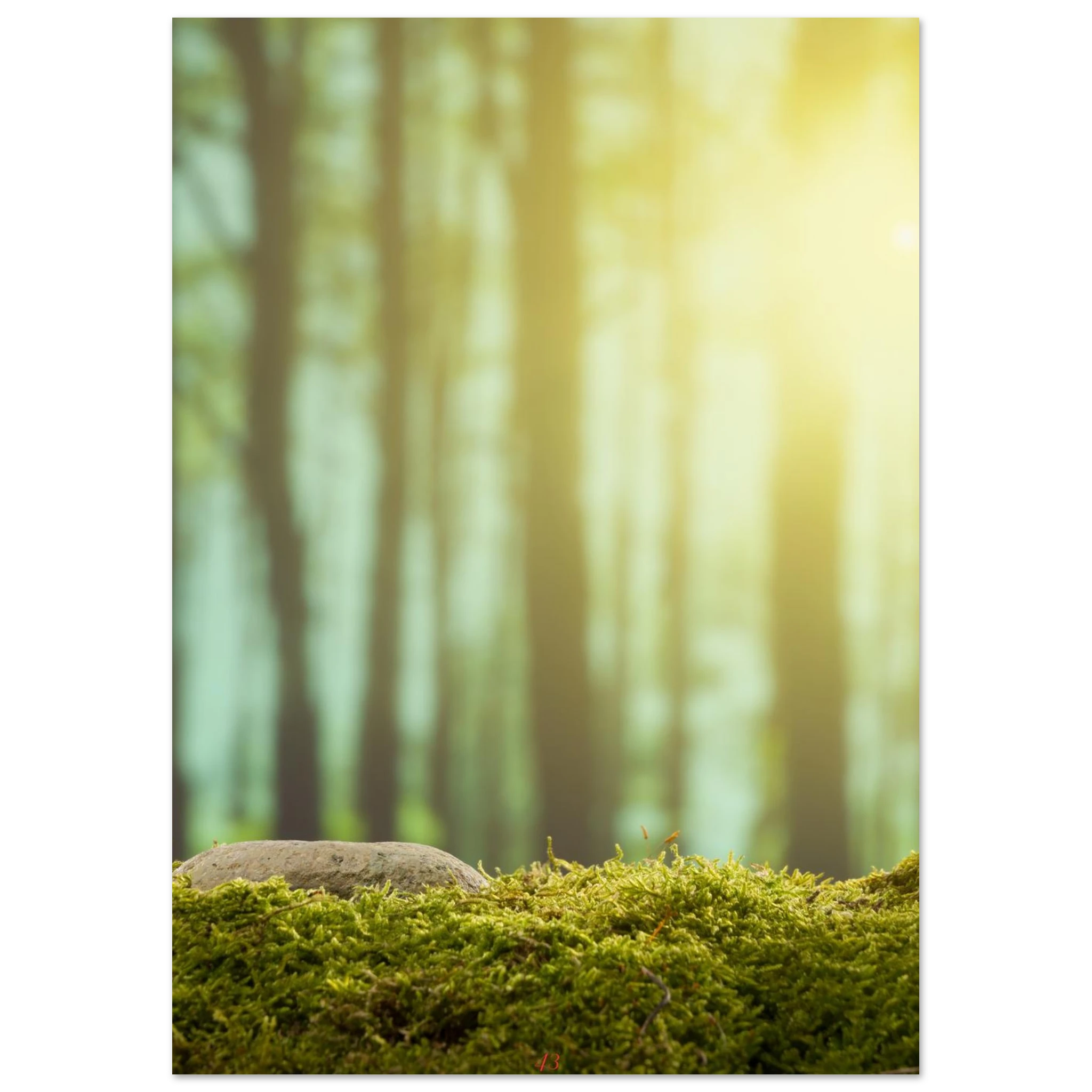 e52f8384-5f04-4094-80af-e16dcbf70d06