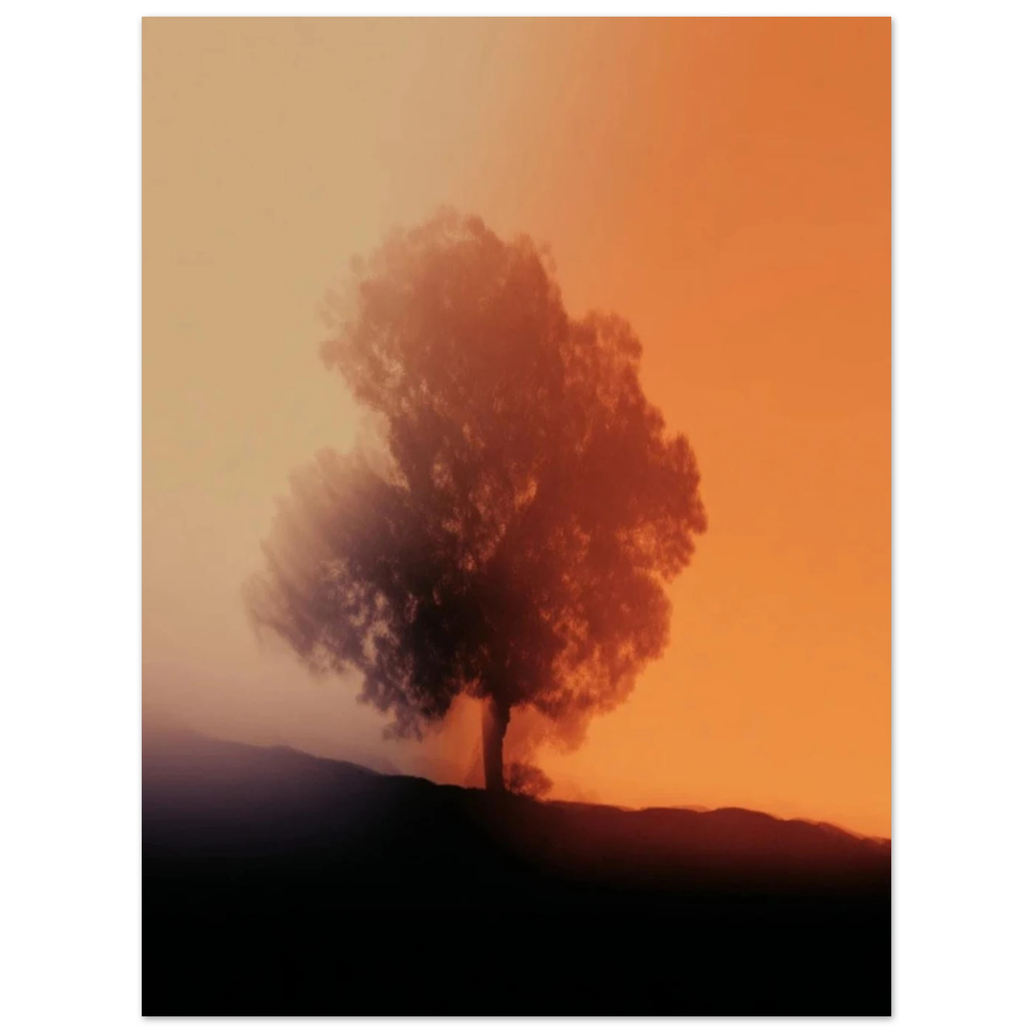 f5d36720-dfee-4334-8e77-d579bb62215c